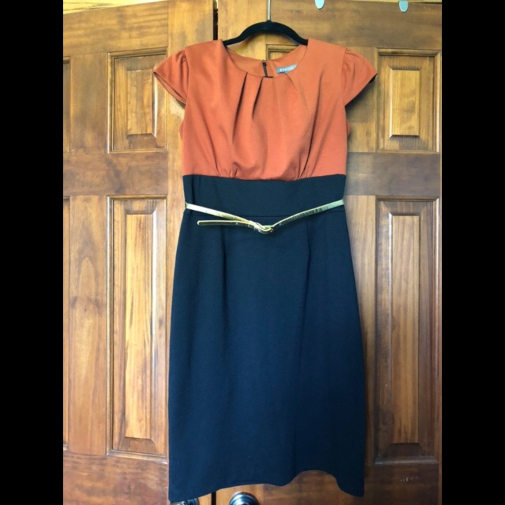 *3/$15* Roz & Ali Dress Barn Sheath Dress 4